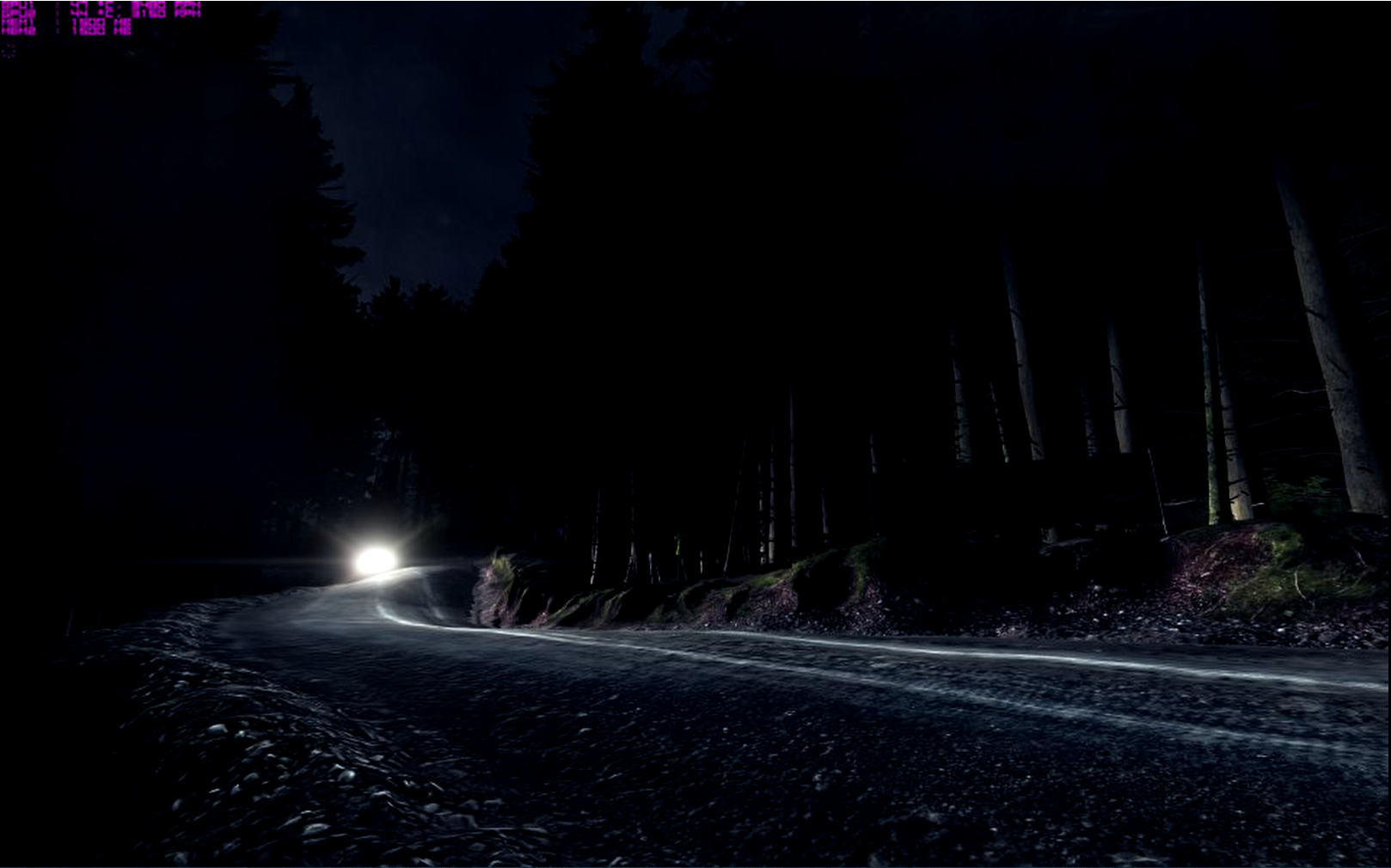 Dirt Rally Screenshot 1